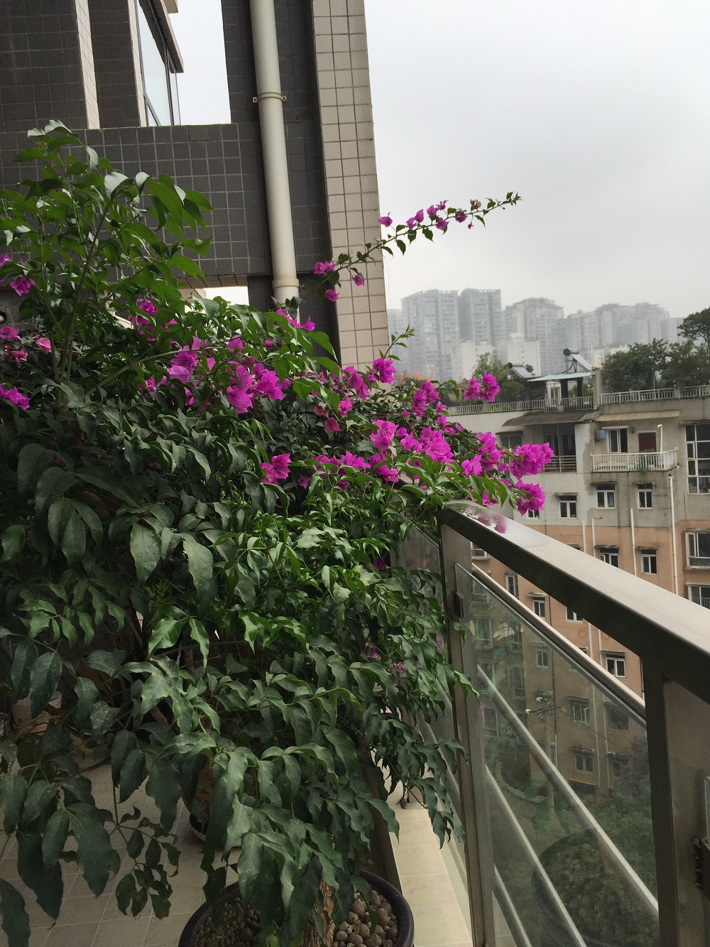 公司环境